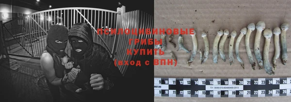 а пвп мука Сосновка