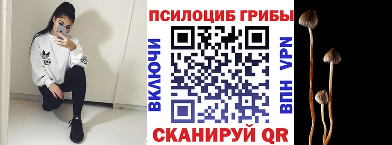 что такое   hydra вход  Псилоцибиновые грибы мицелий  Оленегорск 